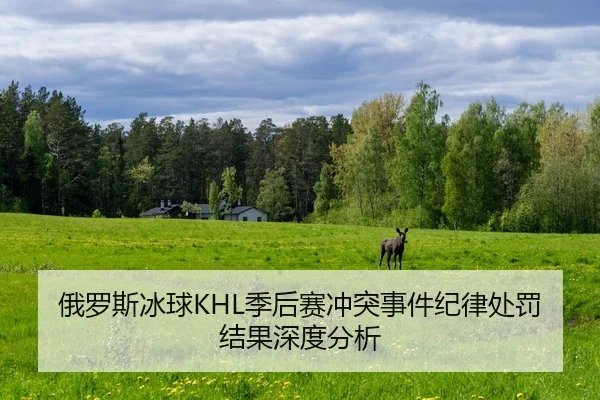 e-luo-si-bing-qiu-ji-hou-sai-chong-tu-shi-jian-ji-lv-chu-fa-jie-guo-shen-du-fen-xi-2-268.jpg